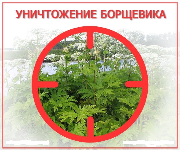 Внимание!!!.