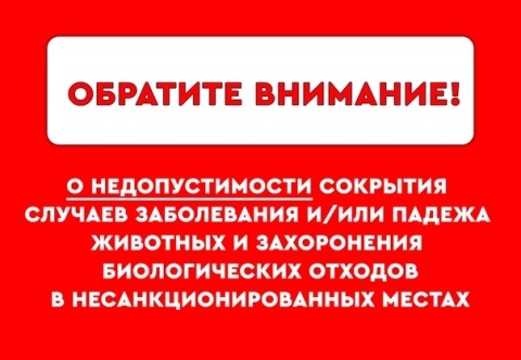 Информирование населения о недопустимости сокрытия случаев заболевания и падежа животных и захоронения биологических отходов в несанкционированных местах. Информирование населения о недопустимости сокрытия случаев заболевания и падежа животных и захоронения биологических отходов в несанкционированных местах.